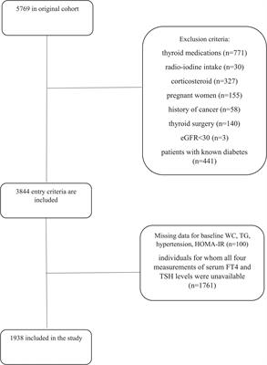 Association between changes in thyroid hormones and incident type 2 diabetes using joint models of longitudinal and time-to-event data: more than a decade follow up in the Tehran thyroid study